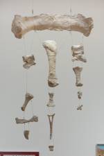 Yto Barrada. Untitled (mobile of Tazoudasaurus Naimi, bone fragments from the Late Early Jurassic Period, Morocco), 2015 plaster, wire, unique. Photograph: © Yto Barrada, Courtesy Pace London.