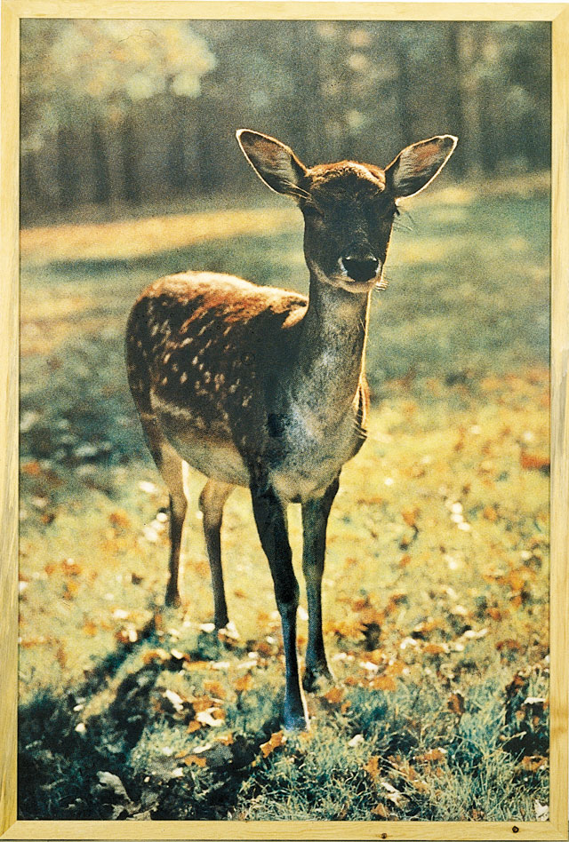 Paul McCarthy. The Bavarian Deer, 1987/1999. © Paul McCarthy. Courtesy of the artist and Hauser & Wirth.