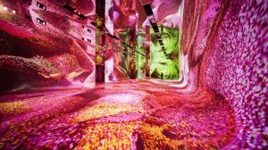 Installation view of Machine Dreams: Rainforest, Dataland, Los Angeles, June 20, 2026 – January 31, 2027. © 2026 Refik Anadol Studio on behalf of Dataland. Photo: Refik Anadol Studio.
