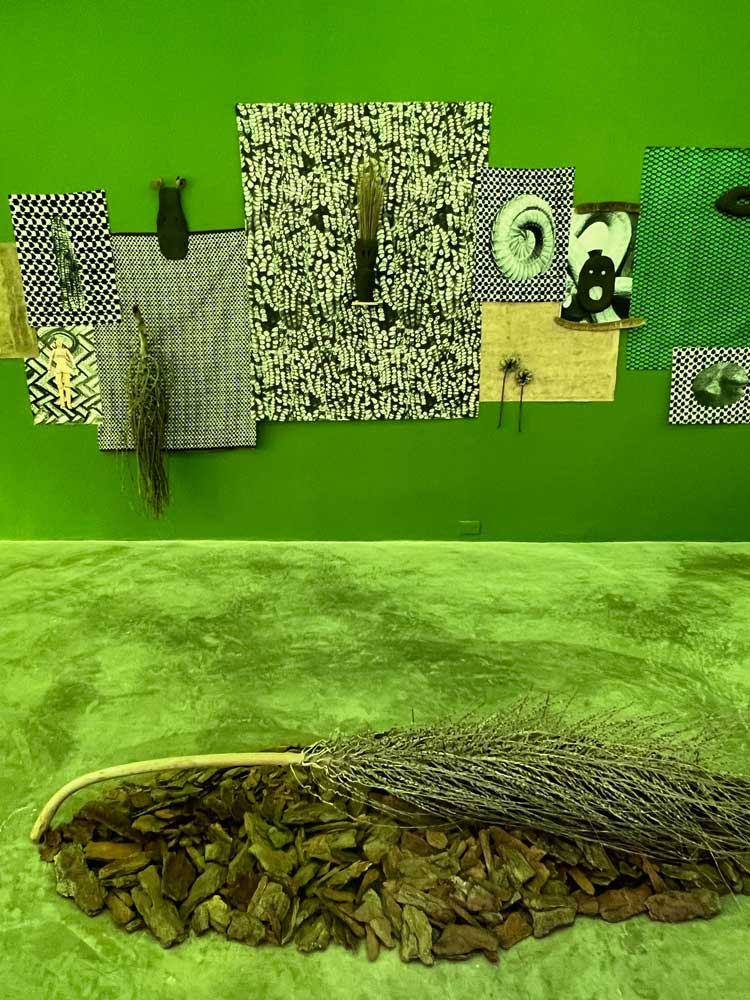 Lucia Pizzani, Morada Vegetal (Vegetal Residence), 2024. Abra, Caracas, courtesy of the artist.